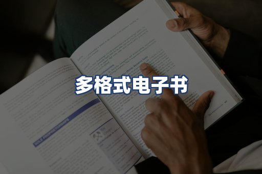 多格式电子书